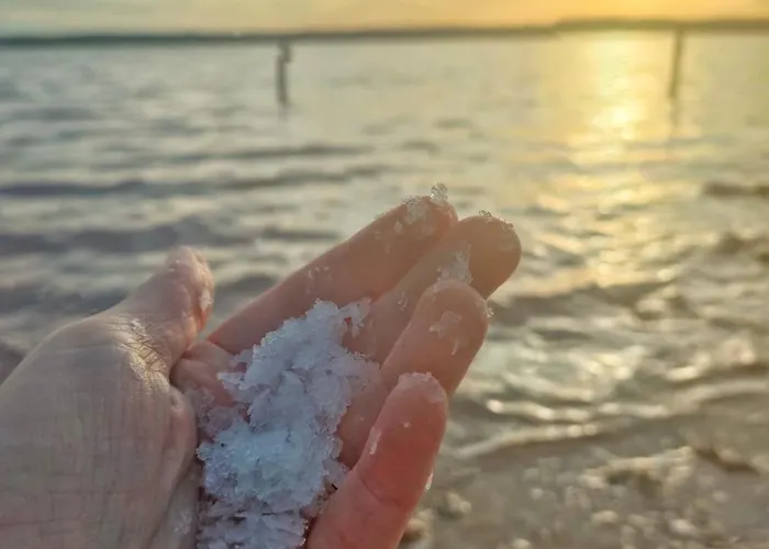 Casa De Buenos Dias *