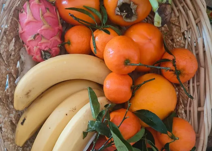 Casa De Buenos Dias Apartamento Torrevieja