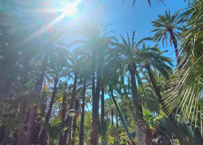 Apartamento Casa De Buenos Dias Torrevieja