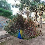 شقة Casa De Buenos Dias *
