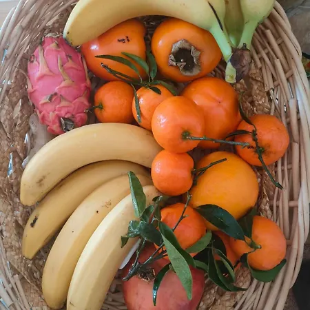 Casa De Buenos Dias شقة تورّيفيِخا