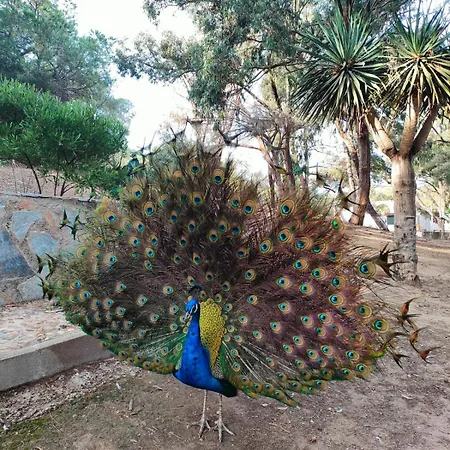 شقة Casa De Buenos Dias *