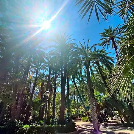 Casa De Buenos Dias Torrevieja