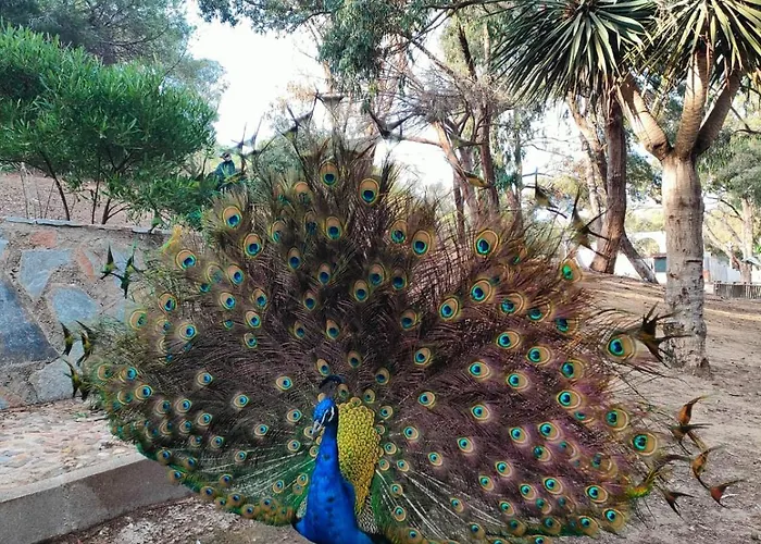 Apartment Casa De Buenos Dias *